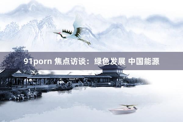 91porn 焦点访谈：绿色发展 中国能源