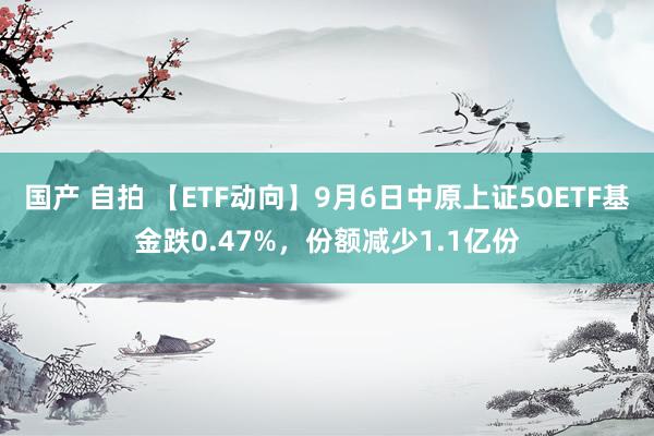 国产 自拍 【ETF动向】9月6日中原上证50ETF基金跌0.47%，份额减少1.1亿份