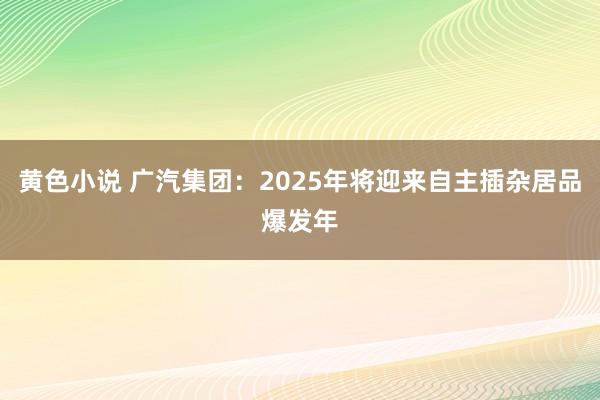 黄色小说 广汽集团：2025年将迎来自主插杂居品爆发年