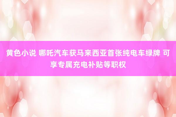 黄色小说 哪吒汽车获马来西亚首张纯电车绿牌 可享专属充电补贴等职权