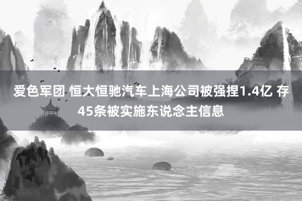 爱色军团 恒大恒驰汽车上海公司被强捏1.4亿 存45条被实施东说念主信息