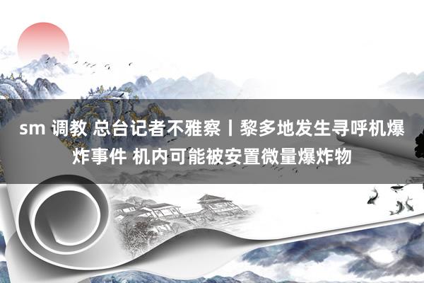 sm 调教 总台记者不雅察丨黎多地发生寻呼机爆炸事件 机内可能被安置微量爆炸物