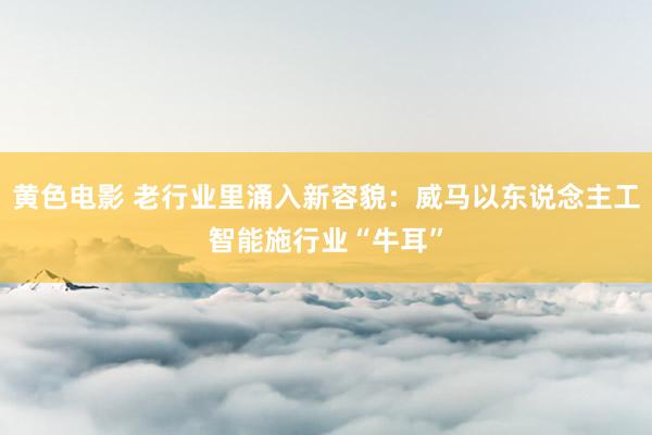 黄色电影 老行业里涌入新容貌：威马以东说念主工智能施行业“牛耳”