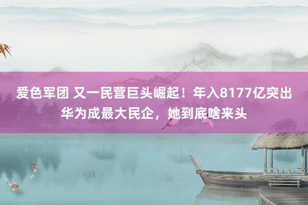 爱色军团 又一民营巨头崛起！年入8177亿突出华为成最大民企，她到底啥来头