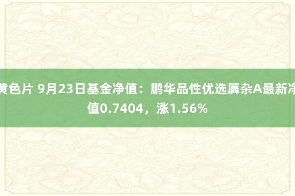 黄色片 9月23日基金净值：鹏华品性优选羼杂A最新净值0.7404，涨1.56%