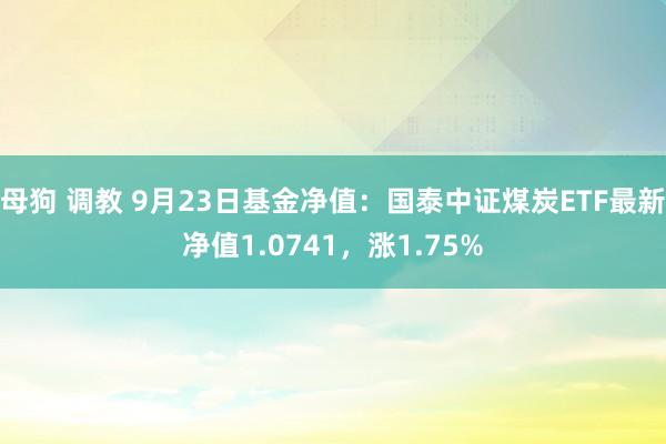 母狗 调教 9月23日基金净值：国泰中证煤炭ETF最新净值1.0741，涨1.75%