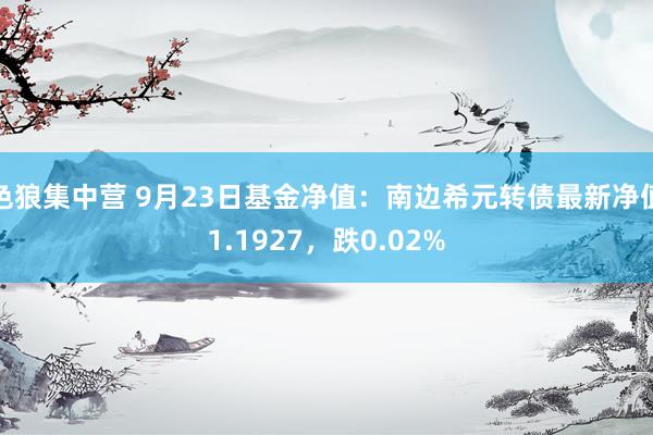 色狼集中营 9月23日基金净值：南边希元转债最新净值1.1927，跌0.02%