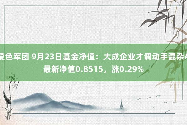 爱色军团 9月23日基金净值：大成企业才调动手混杂A最新净值0.8515，涨0.29%