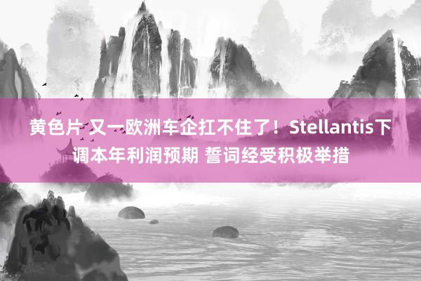 黄色片 又一欧洲车企扛不住了！Stellantis下调本年利润预期 誓词经受积极举措