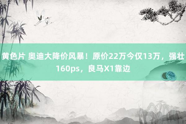 黄色片 奥迪大降价风暴！原价22万今仅13万，强壮160ps，良马X1靠边