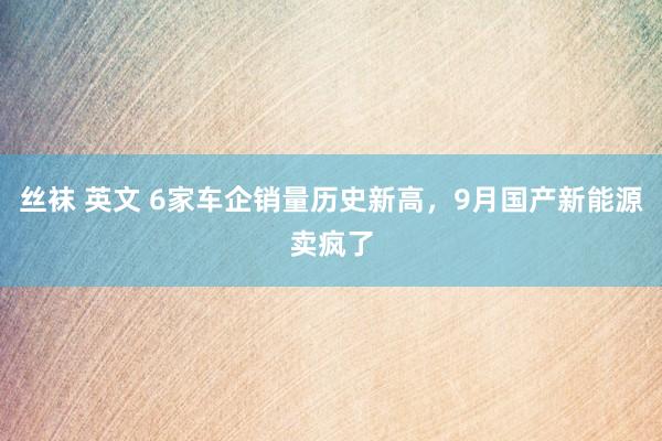 丝袜 英文 6家车企销量历史新高，9月国产新能源卖疯了