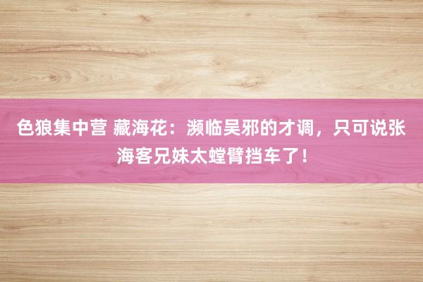 色狼集中营 藏海花：濒临吴邪的才调，只可说张海客兄妹太螳臂挡车了！