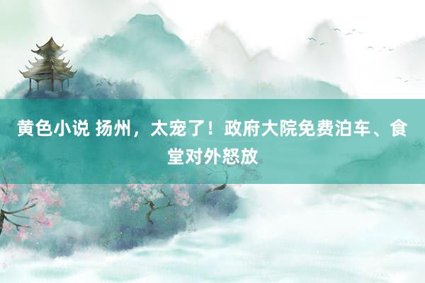 黄色小说 扬州，太宠了！政府大院免费泊车、食堂对外怒放