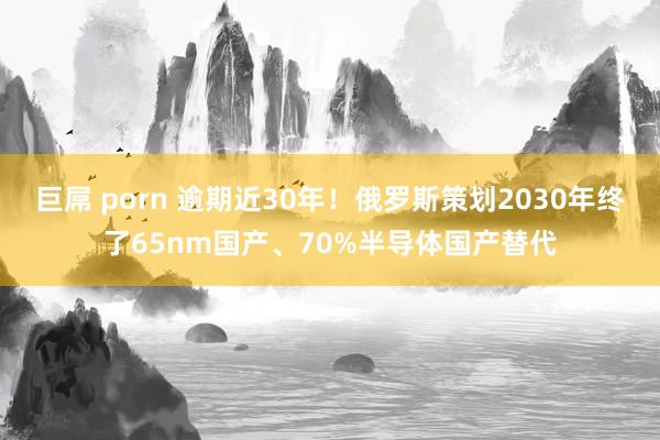 巨屌 porn 逾期近30年！俄罗斯策划2030年终了65nm国产、70%半导体国产替代