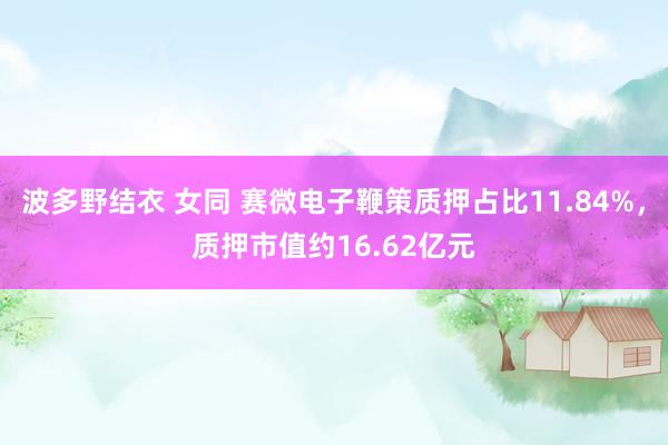 波多野结衣 女同 赛微电子鞭策质押占比11.84%，质押市值约16.62亿元