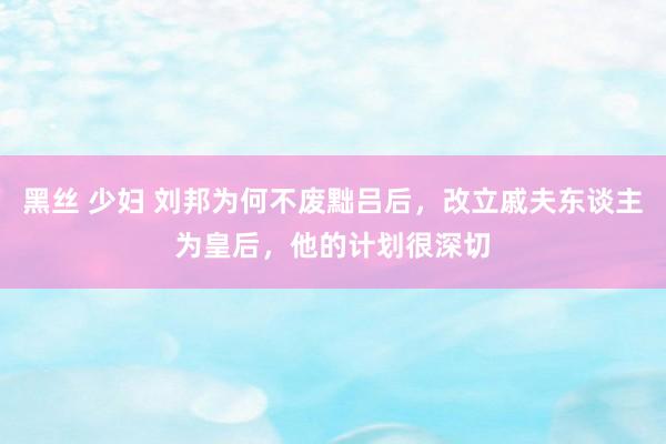 黑丝 少妇 刘邦为何不废黜吕后，改立戚夫东谈主为皇后，他的计划很深切