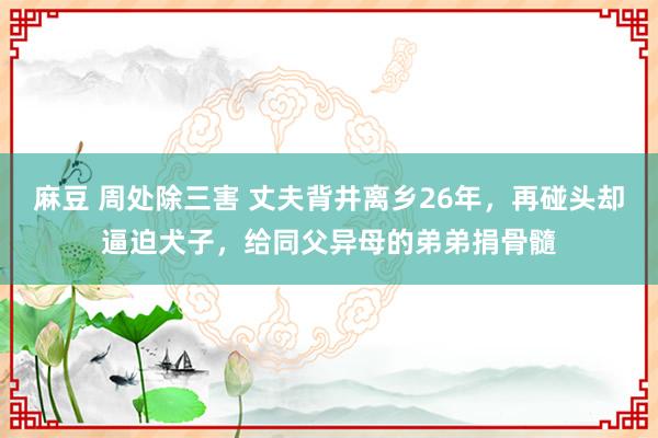 麻豆 周处除三害 丈夫背井离乡26年，再碰头却逼迫犬子，给同父异母的弟弟捐骨髓