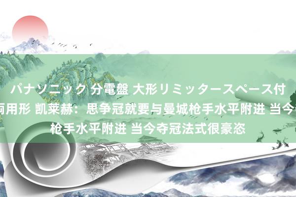 パナソニック 分電盤 大形リミッタースペース付 露出・半埋込両用形 凯莱赫：思争冠就要与曼城枪手水平附进 当今夺冠法式很豪恣