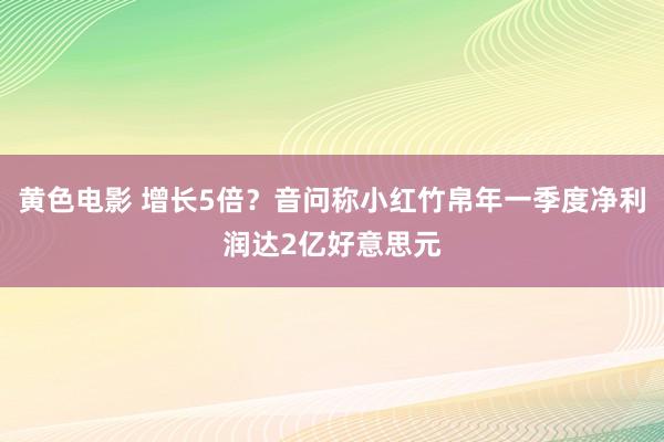 黄色电影 增长5倍？音问称小红竹帛年一季度净利润达2亿好意思元