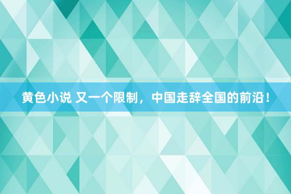 黄色小说 又一个限制，中国走辞全国的前沿！