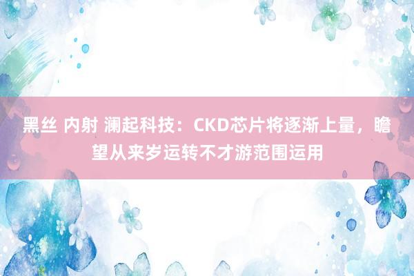 黑丝 内射 澜起科技：CKD芯片将逐渐上量，瞻望从来岁运转不才游范围运用