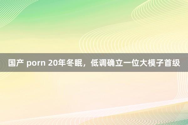 国产 porn 20年冬眠，低调确立一位大模子首级