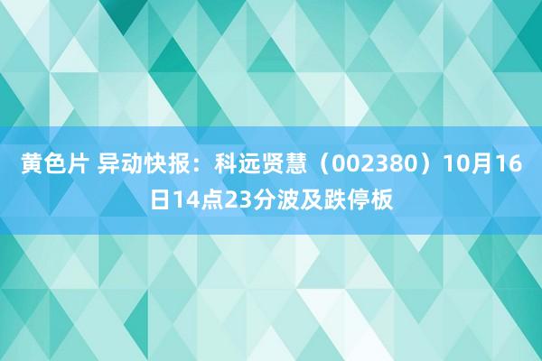 黄色片 异动快报：科远贤慧（002380）10月16日14点23分波及跌停板