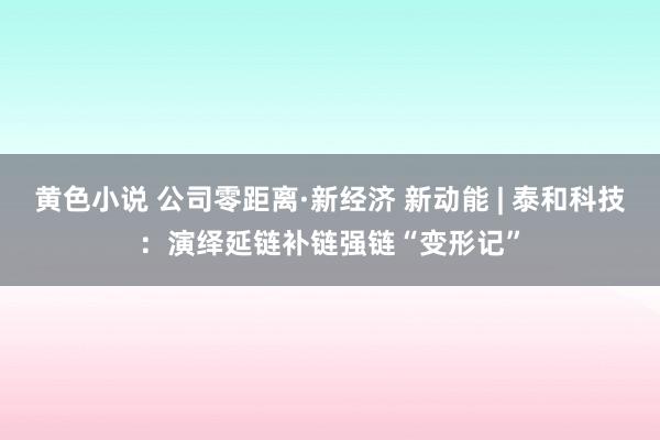 黄色小说 公司零距离·新经济 新动能 | 泰和科技：演绎延链补链强链“变形记”