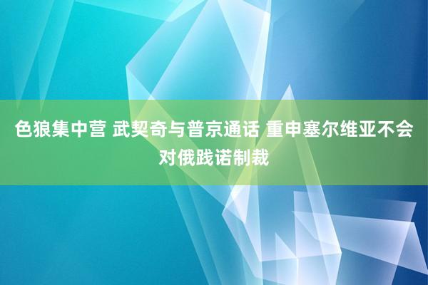 色狼集中营 武契奇与普京通话 重申塞尔维亚不会对俄践诺制裁