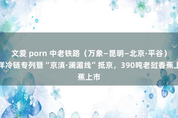 文爱 porn 中老铁路（万象—昆明—北京·平谷）外洋冷链专列暨“京滇·澜湄线”抵京，390吨老挝香蕉上市