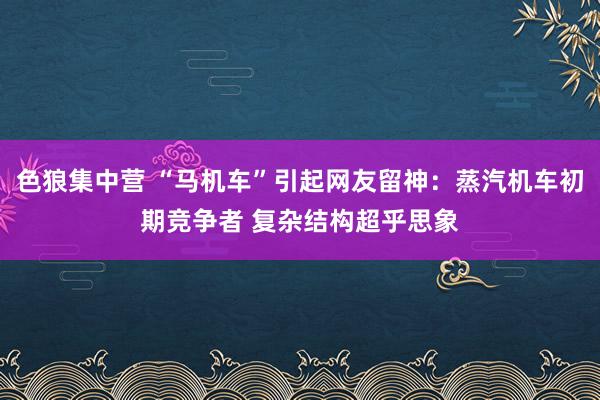 色狼集中营 “马机车”引起网友留神：蒸汽机车初期竞争者 复杂结构超乎思象