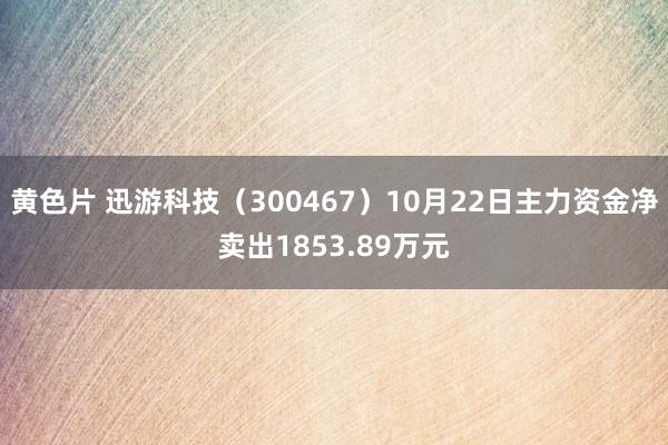 黄色片 迅游科技（300467）10月22日主力资金净卖出1853.89万元