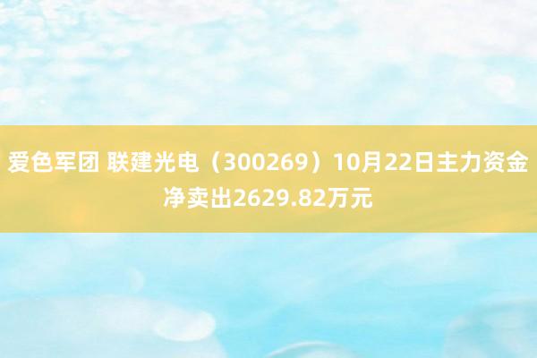 爱色军团 联建光电（300269）10月22日主力资金净卖出2629.82万元