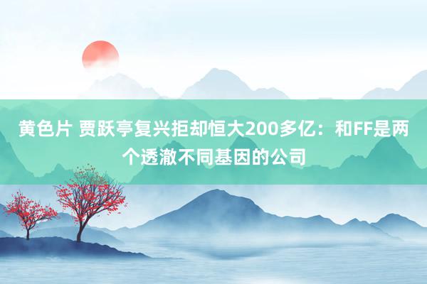 黄色片 贾跃亭复兴拒却恒大200多亿：和FF是两个透澈不同基因的公司