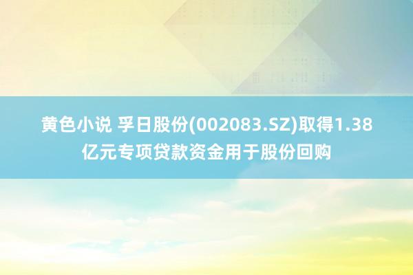 黄色小说 孚日股份(002083.SZ)取得1.38亿元专项贷款资金用于股份回购