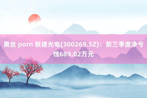 黑丝 porn 联建光电(300269.SZ)：前三季度净亏蚀689.02万元