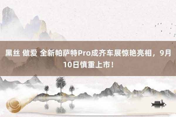 黑丝 做爱 全新帕萨特Pro成齐车展惊艳亮相，9月10日慎重上市！