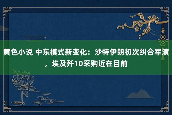 黄色小说 中东模式新变化：沙特伊朗初次纠合军演，埃及歼10采购近在目前