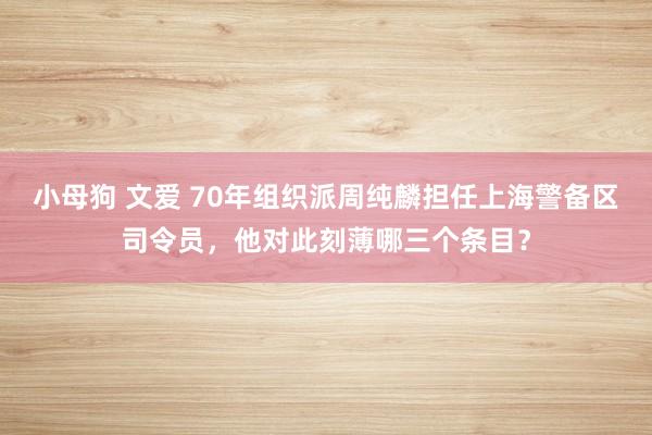 小母狗 文爱 70年组织派周纯麟担任上海警备区司令员，他对此刻薄哪三个条目？