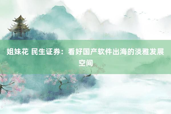 姐妹花 民生证券：看好国产软件出海的淡雅发展空间