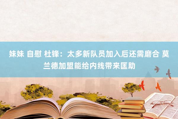 妹妹 自慰 杜锋：太多新队员加入后还需磨合 莫兰德加盟能给内线带来匡助