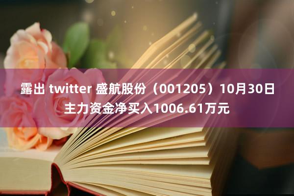 露出 twitter 盛航股份（001205）10月30日主力资金净买入1006.61万元