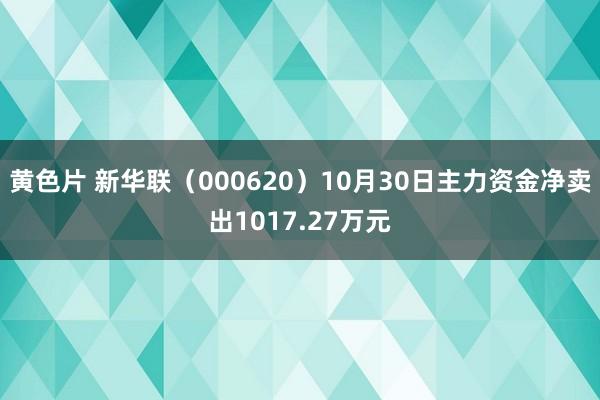 黄色片 新华联（000620）10月30日主力资金净卖出1017.27万元