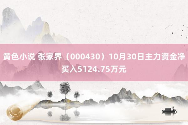 黄色小说 张家界（000430）10月30日主力资金净买入5124.75万元