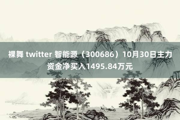 裸舞 twitter 智能源（300686）10月30日主力资金净买入1495.84万元