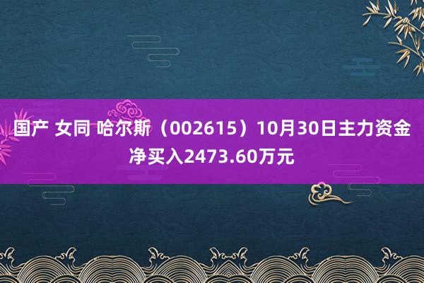 国产 女同 哈尔斯（002615）10月30日主力资金净买入2473.60万元