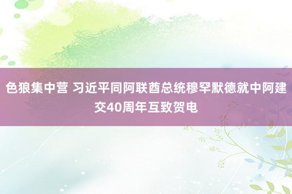 色狼集中营 习近平同阿联酋总统穆罕默德就中阿建交40周年互致贺电