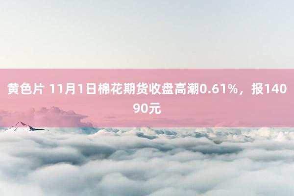 黄色片 11月1日棉花期货收盘高潮0.61%，报14090元