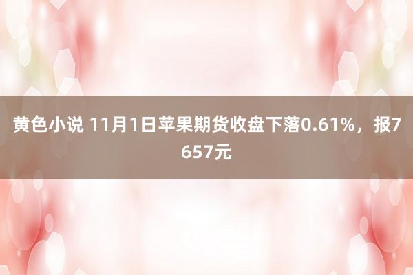 黄色小说 11月1日苹果期货收盘下落0.61%，报7657元