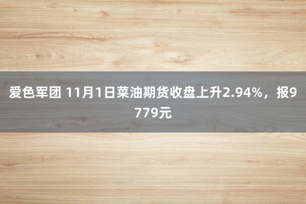 爱色军团 11月1日菜油期货收盘上升2.94%，报9779元